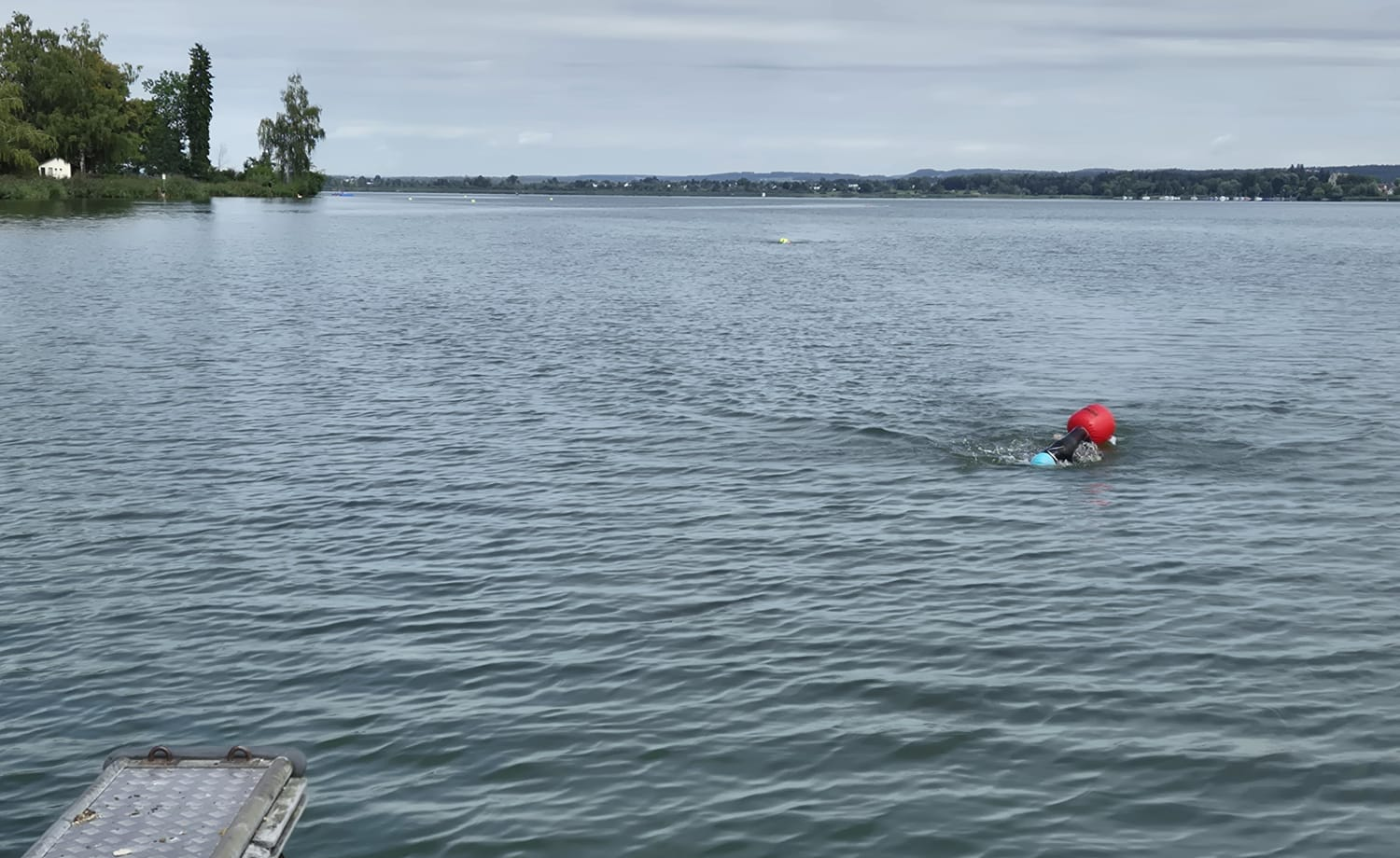 Greifenseeschwimmen Bild 14