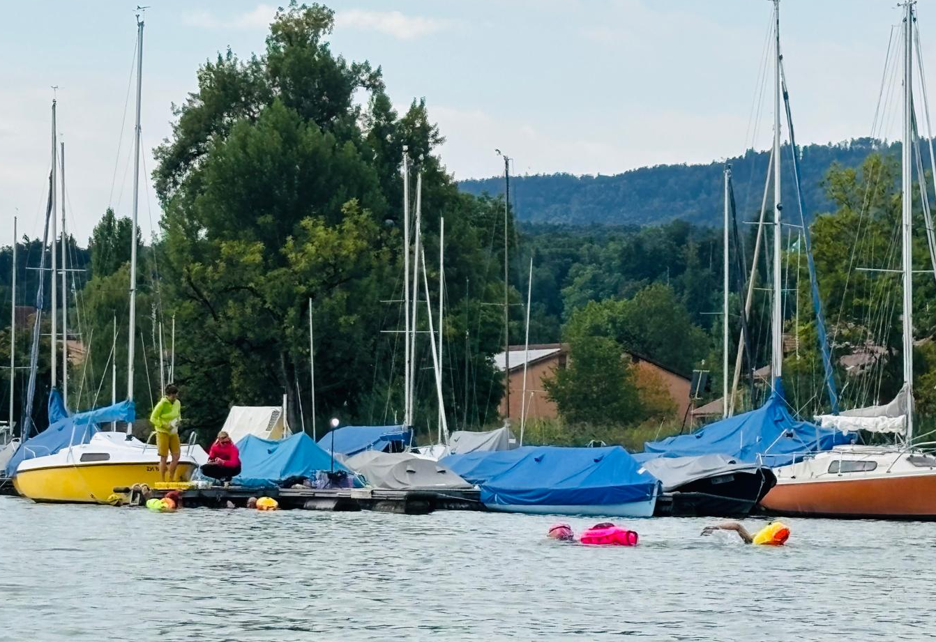 Greifenseeschwimmen Bild 16